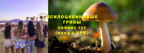 сатива Алзамай