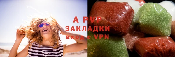 крисы Алексин
