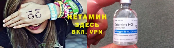 крисы Алексин