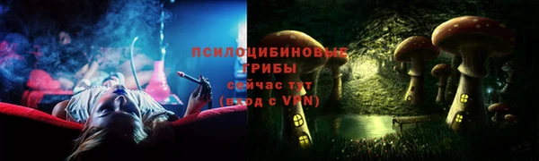 сатива Алзамай