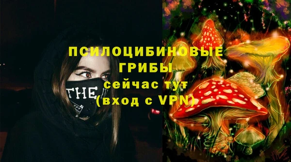 крисы Алексин