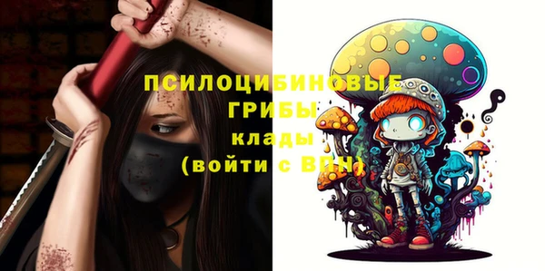 крисы Алексин