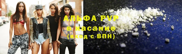сатива Алзамай