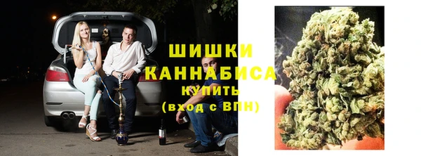 сатива Алзамай