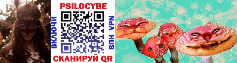 купить  сайты  Лаишево  Псилоцибиновые грибы Cubensis 
